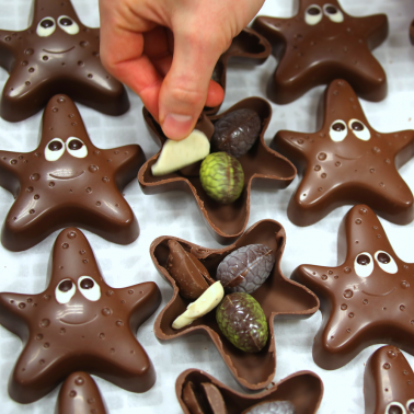 Remplissage ETOILE DE MER GARNIE - CHOCOLAT AU LAIT