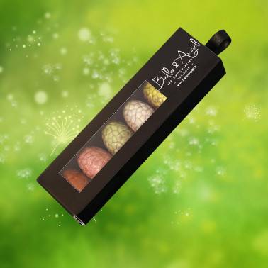 ETUI 6 OEUFS FOURRES CHOCOLATS PAQUES