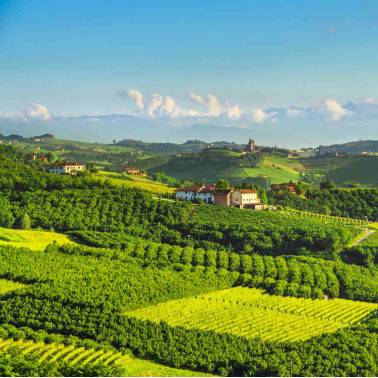 paysage