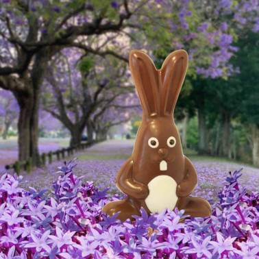 Lapin Dingo en Chocolat au Lait - Pâques - Bello & Angeli Chocolatier
