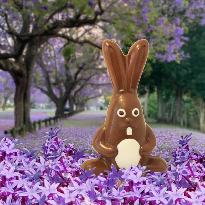 Lapin Dingo en Chocolat au Lait - Pâques - Bello & Angeli Chocolatier