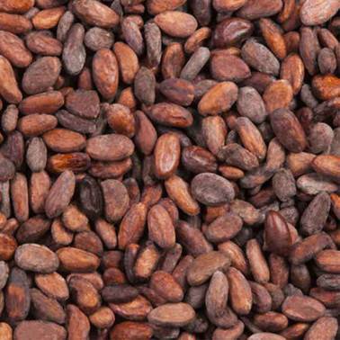 Fèves de cacao