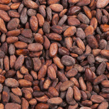 feves de cacao grillés