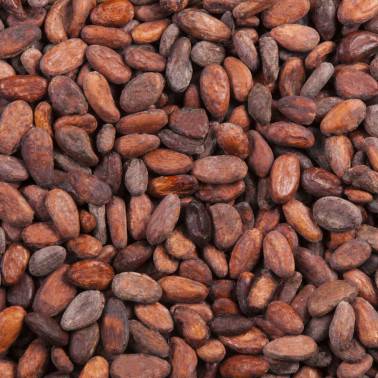 Cocoa beans