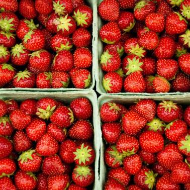 Strawberry Sorbet