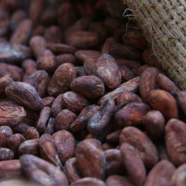 FEVES DE CACAO DANS SAC